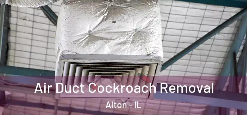 Air Duct Cockroach Removal Alton - IL