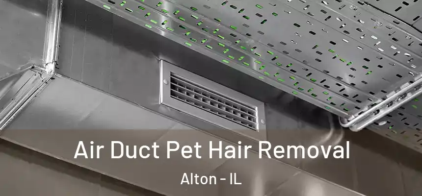Air Duct Pet Hair Removal Alton - IL