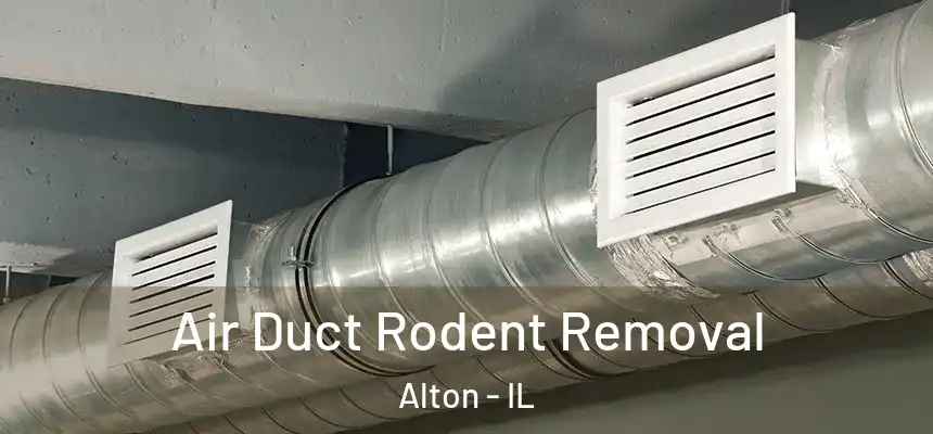 Air Duct Rodent Removal Alton - IL