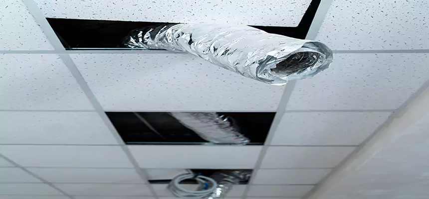 Our Air Duct Pet Hair Removal Services in Alton, IL