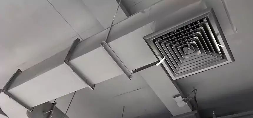 Restorative Allergy Relief Vent Cleaning – Coil, Blower & Housing Detail in Alton