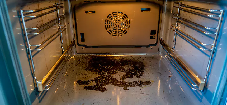 Our Dryer Vent Mold Cleaning Services in Alton, IL