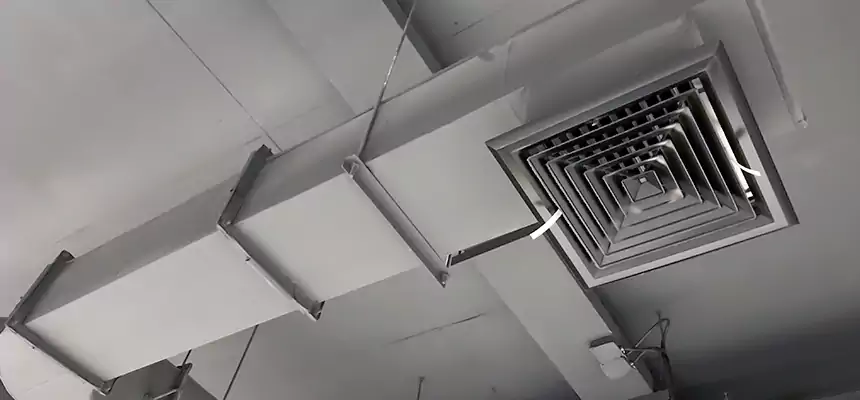 Our Pest Removal From Ducts Services in Alton, IL