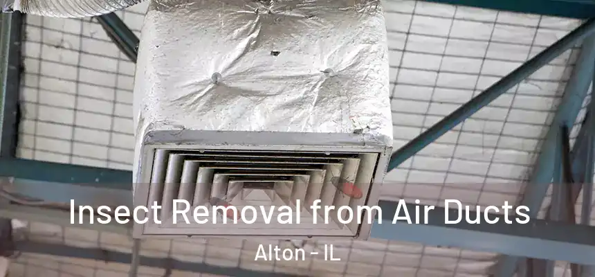 Insect Removal from Air Ducts Alton - IL