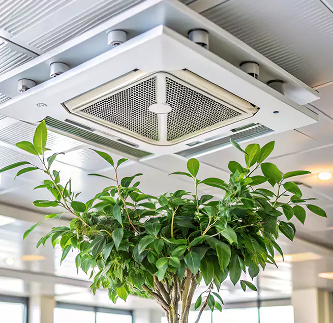 Why Homeowners & Businesses Trust Us in Alton, IL