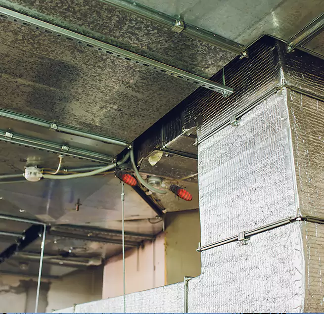 Why Homeowners & Businesses Trust Us Alton, IL?